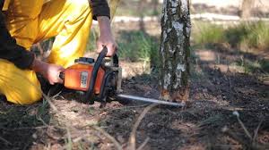 Best Lawn Irrigation Installation and Maintenance  in Kayenta, AZ